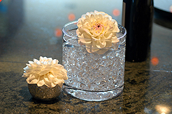 WINTER WINE MATCHING